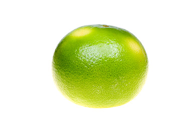 Image showing Green grapefruit