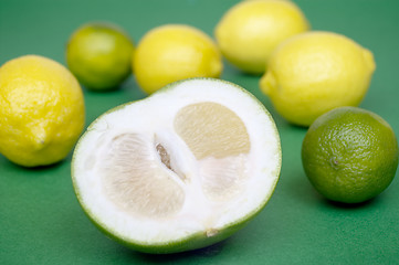 Image showing Citrus