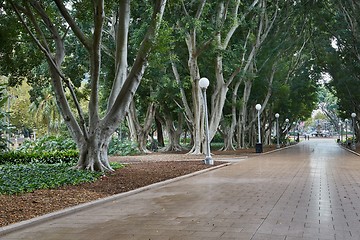 Image showing Park avenue with large trees