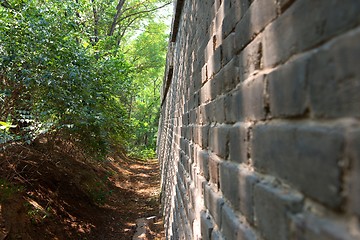 Image showing Hidden path in the forest