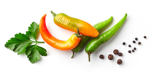 Image showing Various chili peppers and parsley