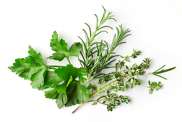 Image showing fresh green spices on white background