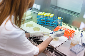 Image showing Life scientist researching in the laboratory.