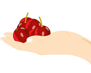 Image showing Berries cherry on palm