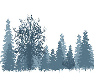 Image showing Winter in wood