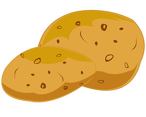 Image showing Two potatoeses on white