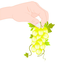 Image showing Hand keeps grape