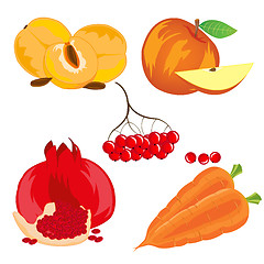 Image showing Fruits vegetables and berry