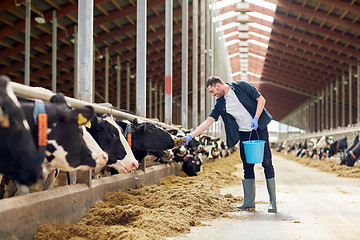 Image showing man feeding cows with hay in cowshed on dairy farm