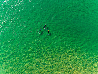 Image showing Surfers Waiting Waves on the Surface of the Ocean