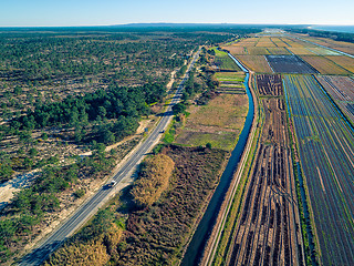 Image showing Aerial View Rice Fields