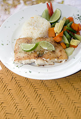 Image showing fresh fish fillet with garlic lime rice Central American vegetab