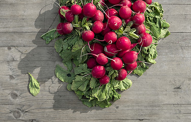 Image showing Radishes