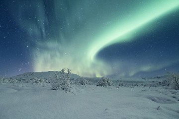 Image showing Aurora borealis in Iceland