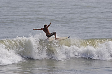 Image showing Surfer