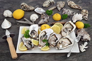 Image showing Oysters 