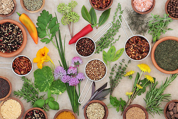 Image showing Dried and Fresh Herbs and Spices