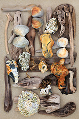 Image showing Driftwood Seashells and Rock Abstract 