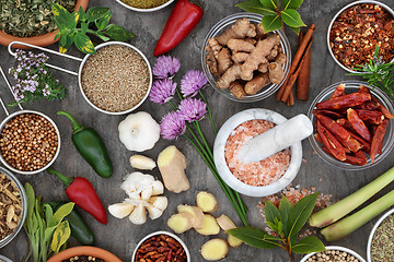 Image showing Fresh and Dried Herb and Spice Collection