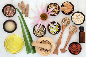 Image showing Herbal Skincare with Healing Ingredients