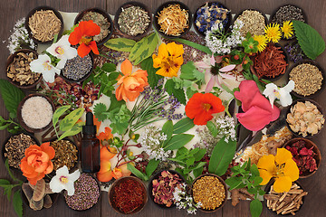 Image showing Dried Medicinal Flowers and Herbs 