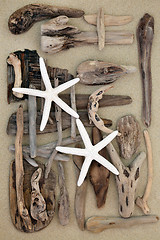 Image showing Starfish and Driftwood Abstract 