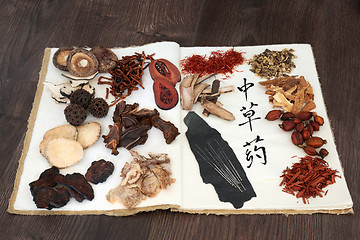 Image showing Chinese Herbs and Acupuncture Needles 