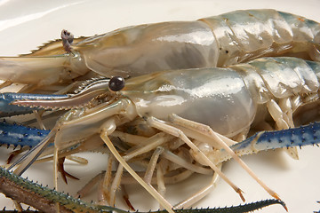 Image showing Whole raw prawns