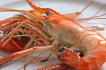 Image showing Cooked prawn