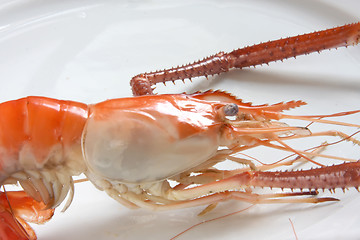 Image showing Cooked prawn