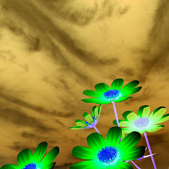 Image showing Beautiful Cosmos Flower against the sky. 3D illustration.