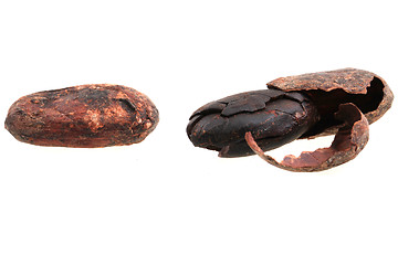 Image showing fresh cocoa bean 