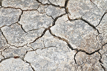 Image showing Cracked earth in a Danish landscapes in the summer