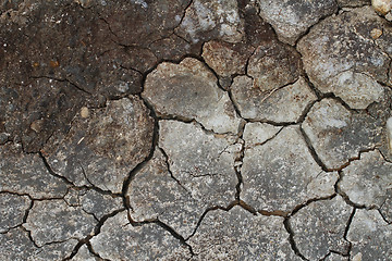 Image showing Cracked earth in a Danish landscapes in the summer