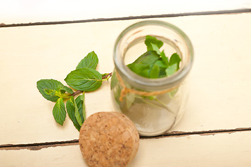 Image showing fresh mint leaves on a glass jar