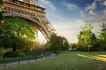 Image showing Lawn near Eiffel Tower