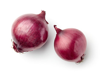 Image showing red onions on white background