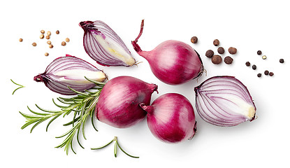 Image showing composition of red onions and spices
