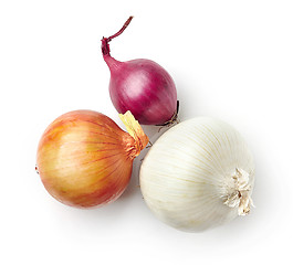 Image showing various onions on white background