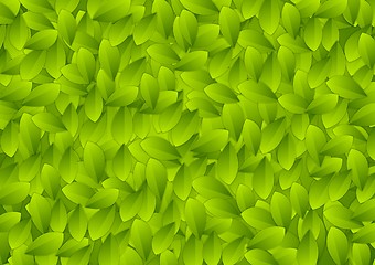 Image showing Abstract green summer leaves texture