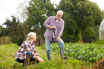 Image showing senior couple working in garden or at summer farm