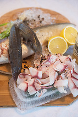 Image showing Sliced frozen raw fish from whitefish