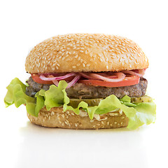 Image showing Tasty classical burger