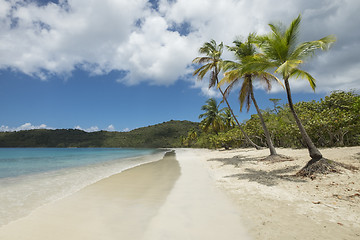 Image showing Tropical beach in Saint Thomas\r