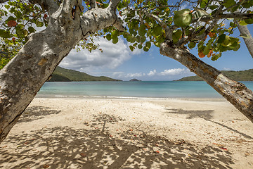 Image showing Magens bay beach in Saint Thomas\r