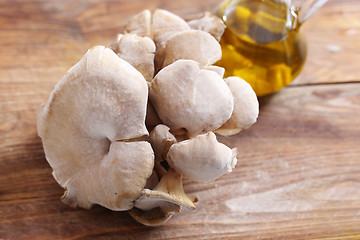 Image showing Oyster mushrooms mushrooms and olive oil.