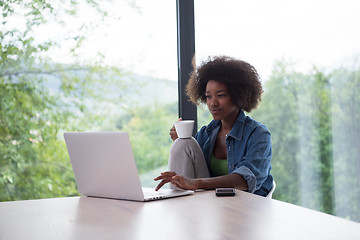 Image showing African American woman in the living room