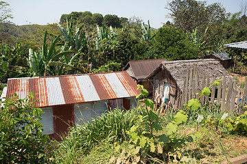 Image showing African malagasy huts in Andasibe region