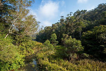 Image showing Madagascar beautiful landscape