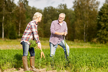 Image showing senior couple with shovel picking carrots on farm